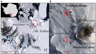 Unique Geothermal Chemistry Shapes Microbial Communities on Mt. Erebus, Antarctica